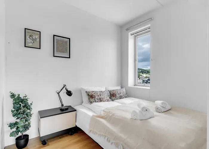 Center I Stargaze With Telescope *