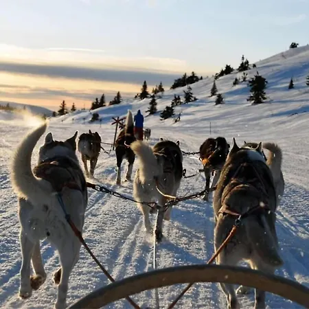Leilighet Center I Stargaze With Telescope